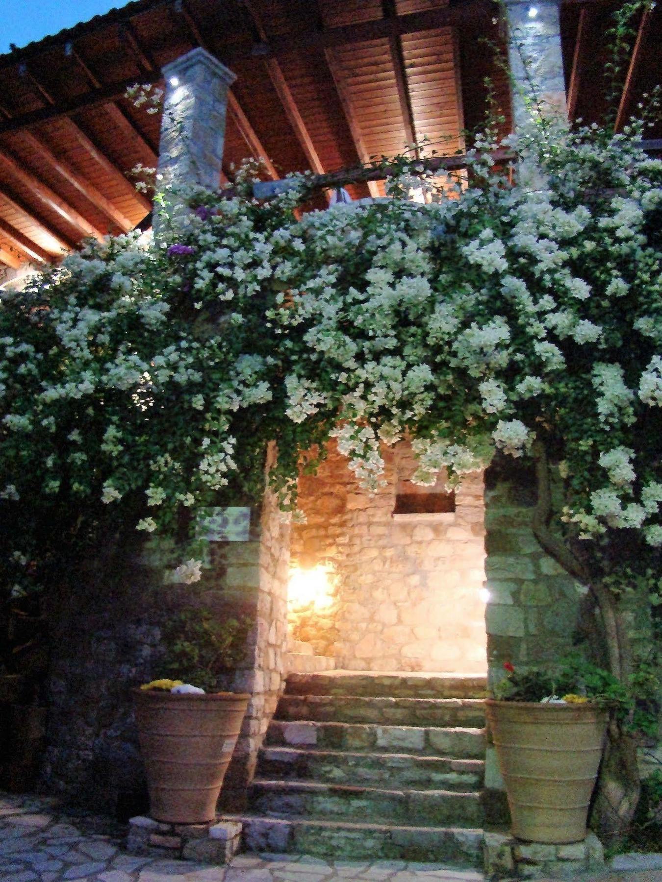 Ilion Hotel Nafpaktos Zewnętrze zdjęcie